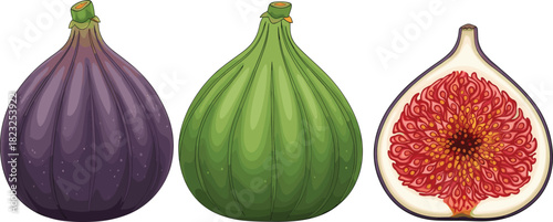Fig fruit illustration, purple and green figs, cross-section view, botanical art, organic produce, healthy food, culinary concept