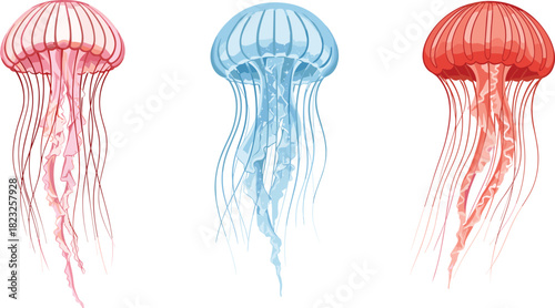 Jellyfish illustration, marine life artwork, ocean creatures, underwater design, colorful tentacles, sea animals, aquatic theme, fantasy ocean art, vibrant jellyfish