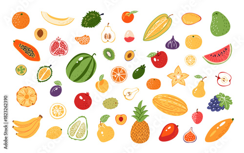 Fruits and berries. A large set of colorful exotic elements in cartoon style. Vector illustration.