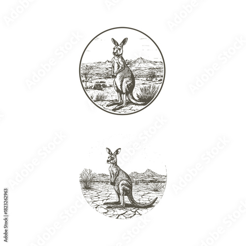 vintage engraving or woodcut illustration depicting a kangaroo standing alertly in a vast, arid Australian landscape with distant mountains