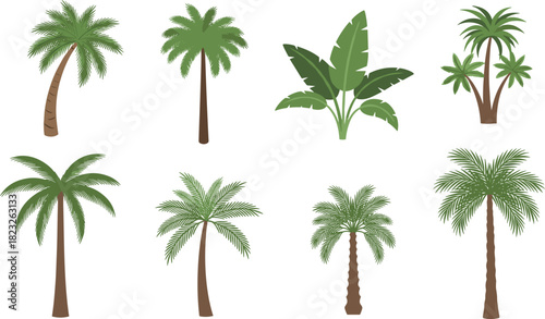 Tropical tree illustration set, palm trees, banana plant, exotic foliage, stylized, botanical, green, nature, garden, landscape, trunk texture, leaf pattern, tropical vegetation, outdoor flora