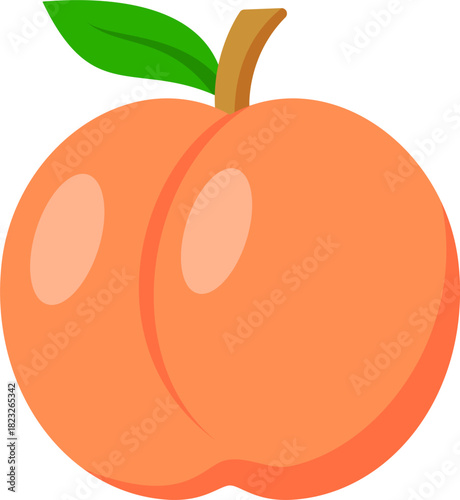 vector illustration of peach fruit