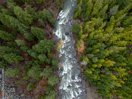Aerial View Of River Winding Through Dense Evergreen Forest In British Columbia