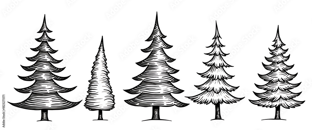 Obraz premium Handdrawn set of evergreen trees in various styles, black and white illustration