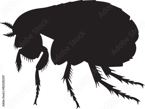 AFlea insect silhouette vector flat illustration design