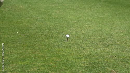 HIT ON THE GOLF GREEN AND BALL ENTRANCE