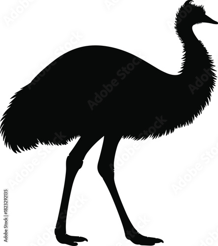 Black silhouette of emu bird standing, large flightless bird, wild animal illustration, detailed feathers, isolated on white background