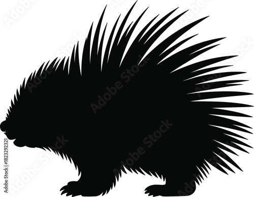 Black silhouette of porcupine animal with sharp quills standing on white background, wildlife nature illustration, spiny mammal side view profile