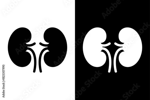 Black and White Kidney Silhouette Icons. Human Kidney Anatomy Vector for Healthcare Designs