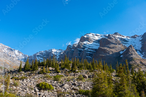Wide shot looking up at sheer, snow-capped mountain peaks towering above a field of boulders and a dense growth of tall, dark green pine trees.