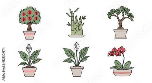 Collection of six potted houseplants including a bonsai tree bamboo orchid and flowering plants.