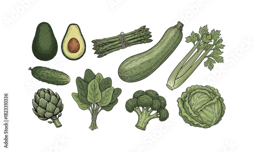 Collection of fresh green vegetables and healthy food illustration