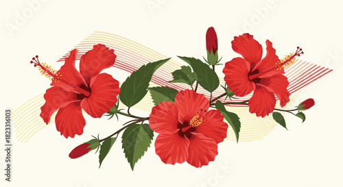 Vibrant red hibiscus flowers with lush green leaves and budding blooms on a decorative branch illustration.