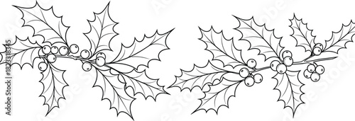 Holly berries leaves christmas winter holiday festive seasonal decoration plant