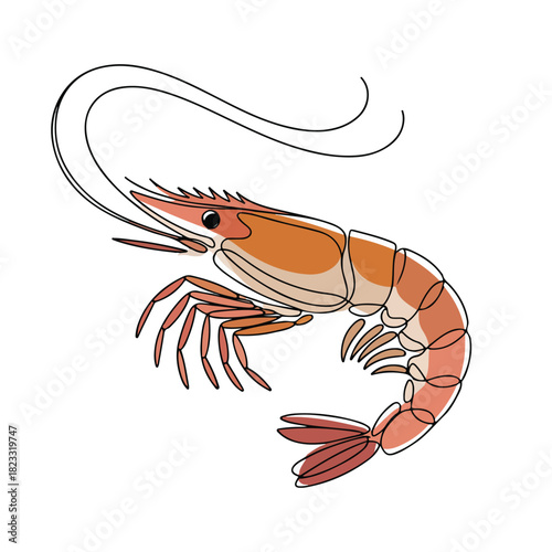 One continuous line illustration of an shrimp, isolated on white background.	