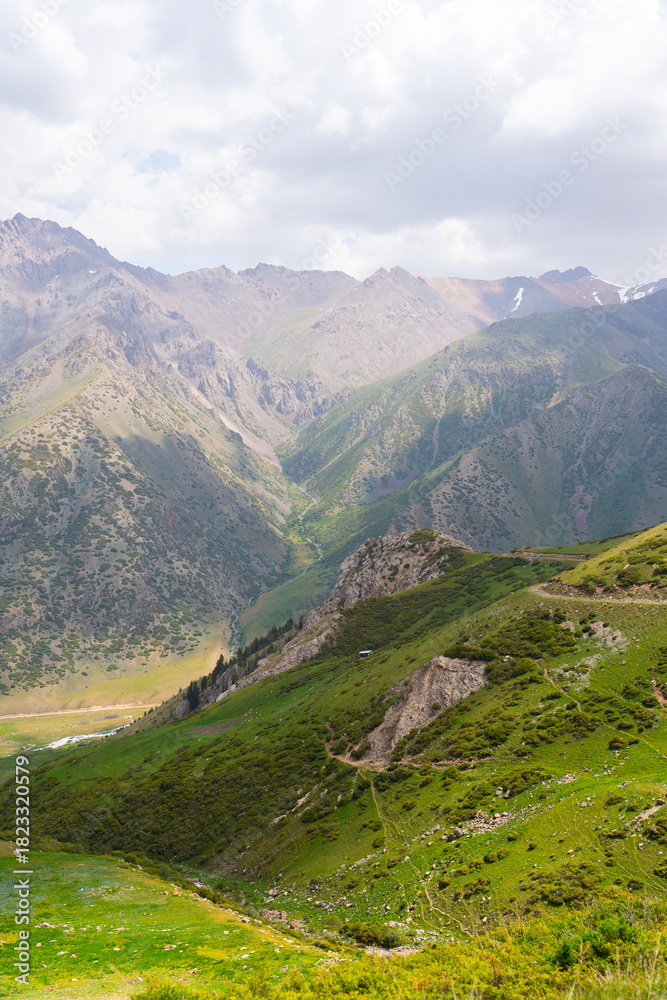 Fototapeta premium High angle view looking down a steep, shrub-covered green hillside into a deep mountain canyon with rugged peaks and a valley floor far below