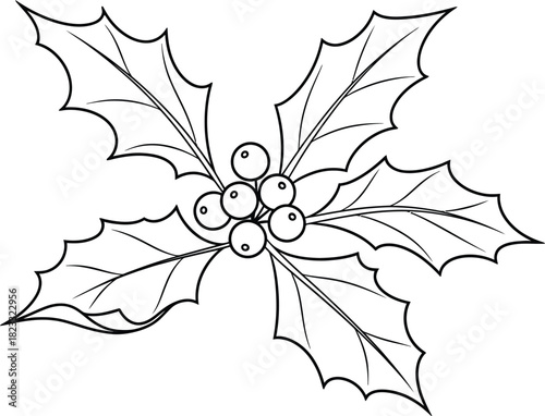 Holly berries christmas winter holiday december festive season plant nature