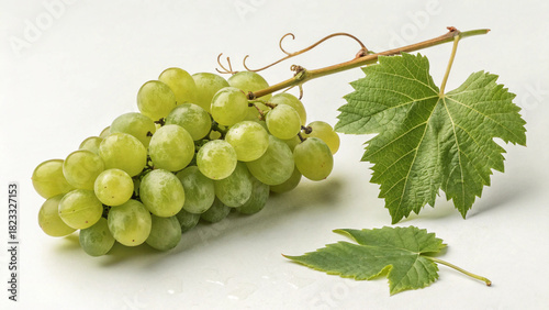 Fresh Green Grapes Bunch – Organic Fruit Photography