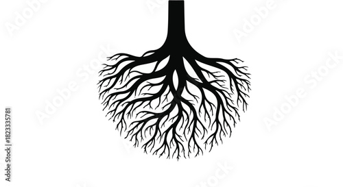 Intricate black tree roots spread out against a stark white background, symbolizing growth and connection.