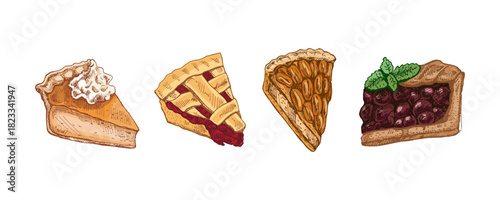 Hand drawn vintage sketch set of delicious pie slices with whipped cream, berries and nuts in color illustration