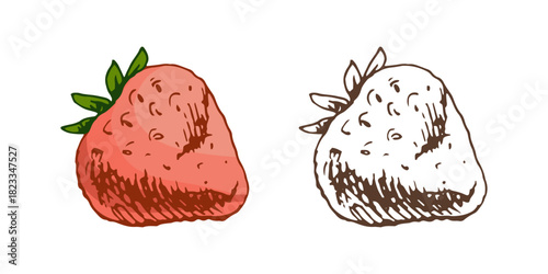 Hand drawn vintage sketch of juicy strawberry fruit in color and monochrome, isolated vector illustration for summer design