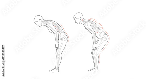 Correct posture for a squat exercise demonstrating proper form for physical training.