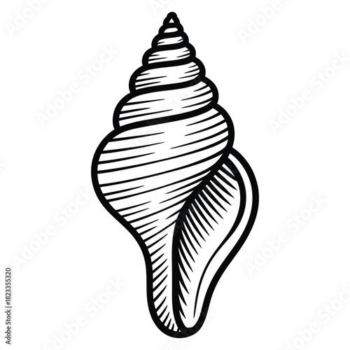 Hand drawn black and white spiral seashell illustration, marine mollusk shell, ocean life symbol