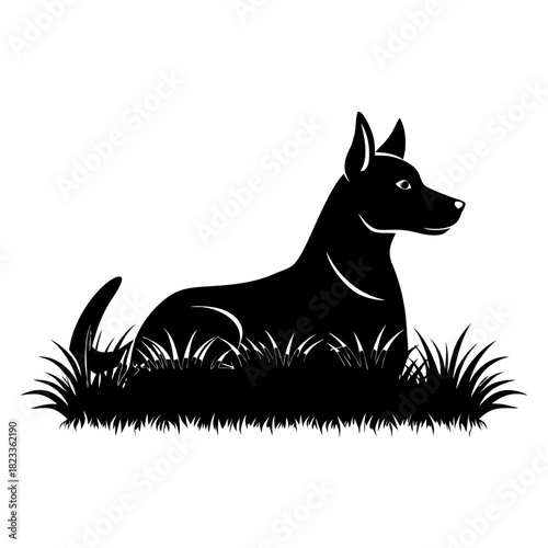 Alert doberman pinscher dog sitting in grass silhouette