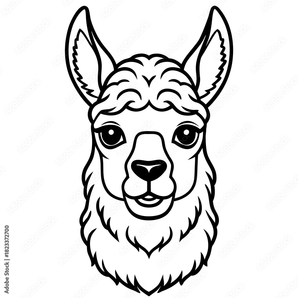 Obraz premium Llama head outline illustration