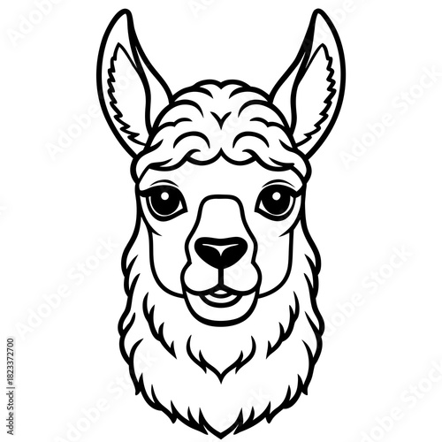 Llama head outline illustration