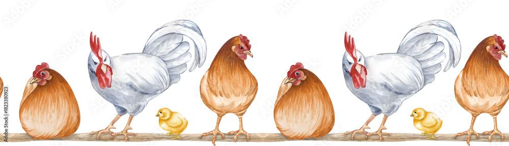 Fototapeta premium Watercolor seamless border depicting sitting and standing farm birds on a roost. Horizontal illustration of a poultry yard on an isolated background. Brown hens, white rooster and chickens on a roost