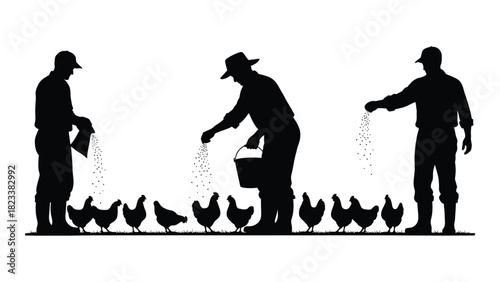 Farmers feeding chickens silhouette isolated on white background, Vector