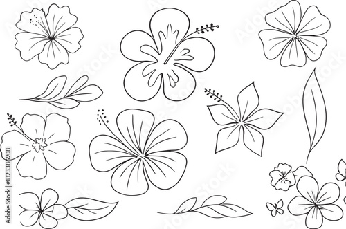 Black and White Hibiscus Outline Collection – Tropical Botanical Element