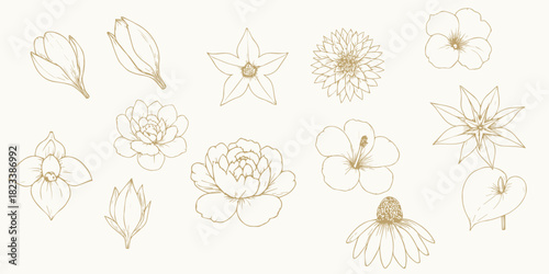 Gold Botanical Flower Line Drawings – Minimal Floral Clipart Pack