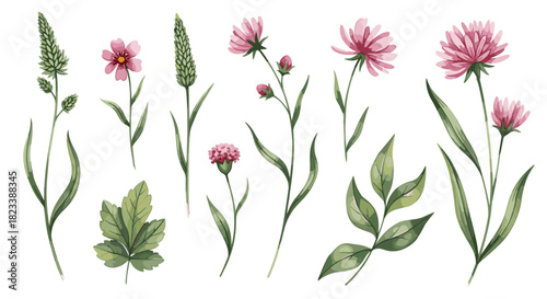 Hand-painted watercolor illustration collection of vibrant pink wildflowers, green leaves, and various grasses on a white background.