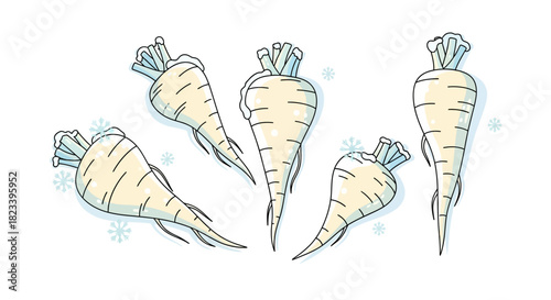 Illustration of five parsnips with their green tops, isolated on a white background.