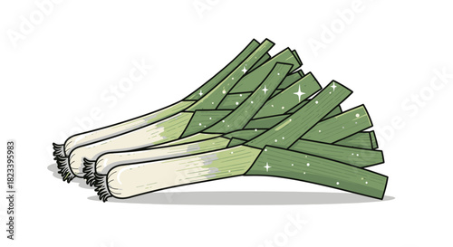 A detailed vector illustration of three fresh, sparkling leeks isolated on a white background.