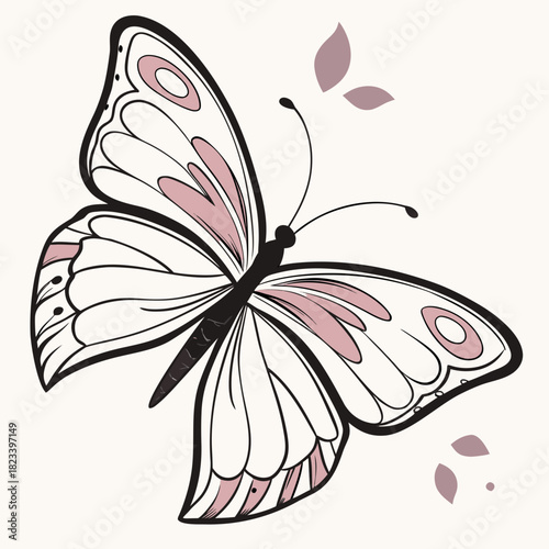 butterfly on a white background