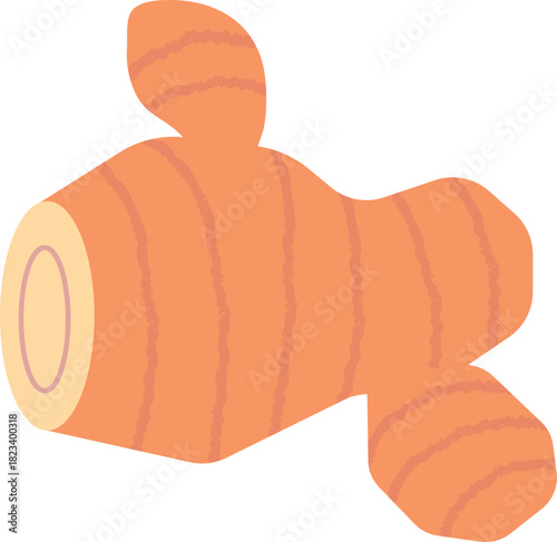 生姜のイラストItems to warm up