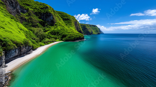 Hawaii Coastline with Lush ...