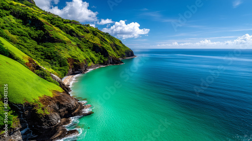Hawaii Coastline with Lush ...