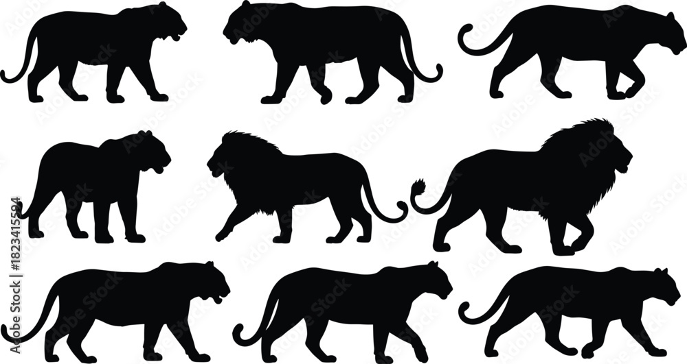 Obraz premium Collection of wild big cat silhouettes including walking lion and tiger vector illustration isolated on white.