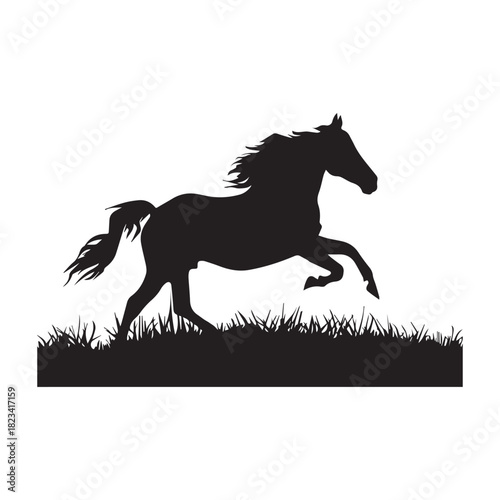 horse silhouette isolated on white background