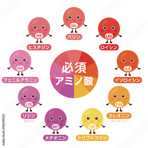必須アミノ酸のキャラクターイラストセット　日本語／Essential Amino Acids Character Illustration Set – Japanese