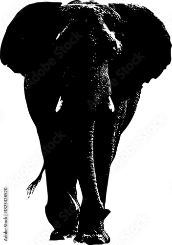 Striking monochrome silhouette portrait of a majestic african elephant walking forward