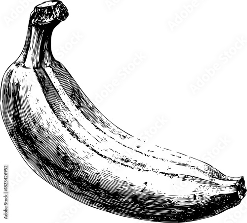 Detailed line art illustration of a ripe banana with expressive shading techniques
