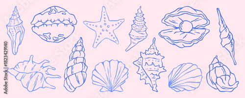 Vintage seashell and coastal doodle illustration with beach elements. Hand drawn scallop shell vector with ocean and nautical details in retro style. Marine sketch for summer travel designs.