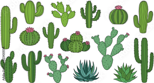 Set of Hand-Drawn Cactus and Succulent Plants Vector Illustrations, Featuring Prickly Pear, Saguaro, and Flowering Desert Flora for Botanical and Southwest Design.