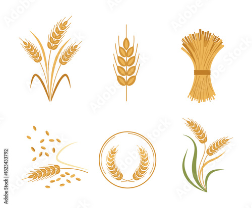 Wheat, grain, and cereal plant icons set