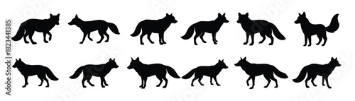 Set of fox silhouette illustration 